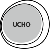 ucho